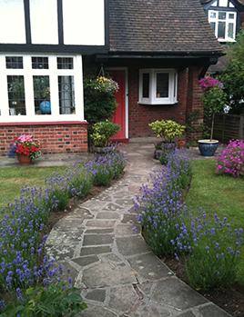 Garden Plants Gardeners visits