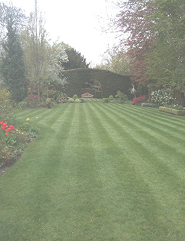 Lawn mowing grounds maintenance contracts
